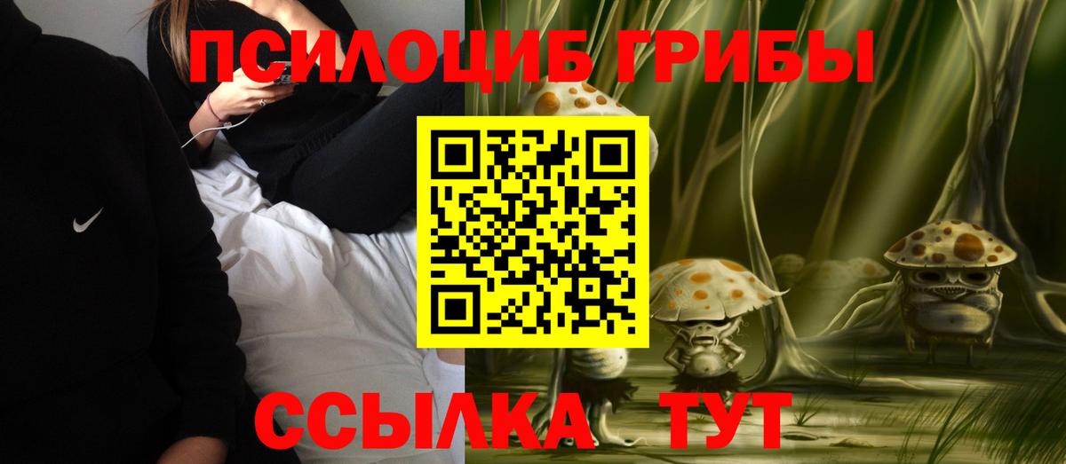 Псилоцибиновые грибы Cubensis Лабинск