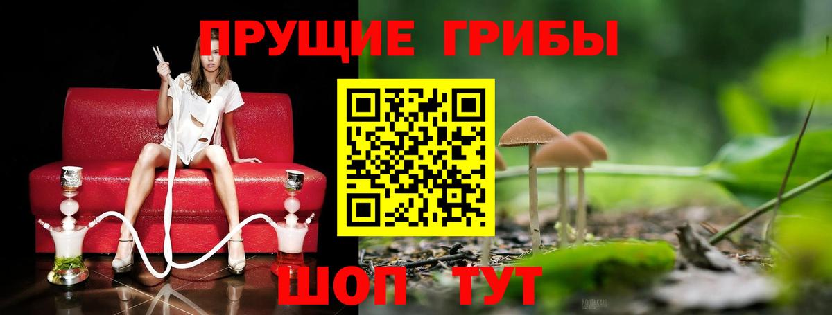 Лабинск  Псилоцибиновые грибы MAGIC MUSHROOMS  Галлюциногенные грибы GOLDEN TEACHER  Вход с VPN 